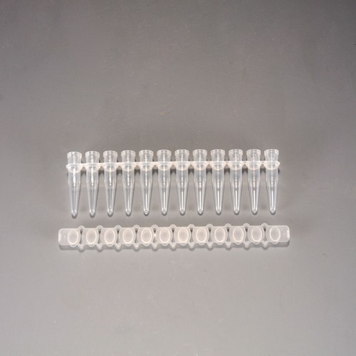 0.2ml 12Strips PCR? Tubes with Flat type [Axygen]