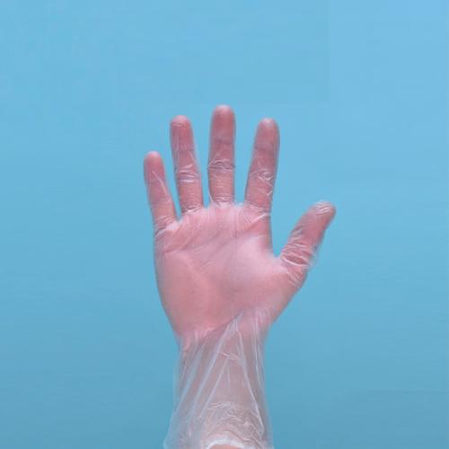 PVC Glove for Cleanroom / 클린룸용 비닐 장갑