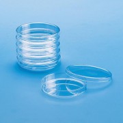 Polystyrene Petri Dish / 페트리 디쉬, 표준형