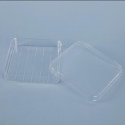 Square Petri Dish / 사각 페트리 디쉬, Polystyrene