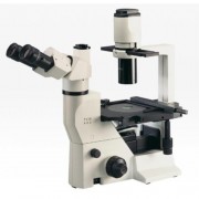 LB-TCM400 도립 삼안 위상차현미경