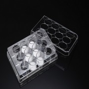 3D Cell Culture Plate