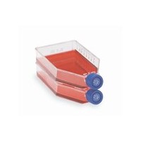 Thermo Scientific™ Nunc™ EasYFlask™ Cell Culture Flask