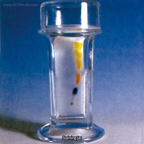 Wheaton® Glass Coplin Staining Jar, Square-type, for 5/10-Slide of 75×25mm<br>With Tall-Lid for Slide, Inside 26×26×h90mm, <USA-Made> 글라스 염색밧트